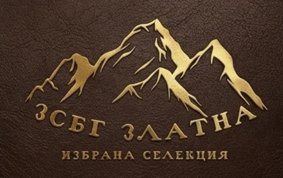 Снимка на продукт